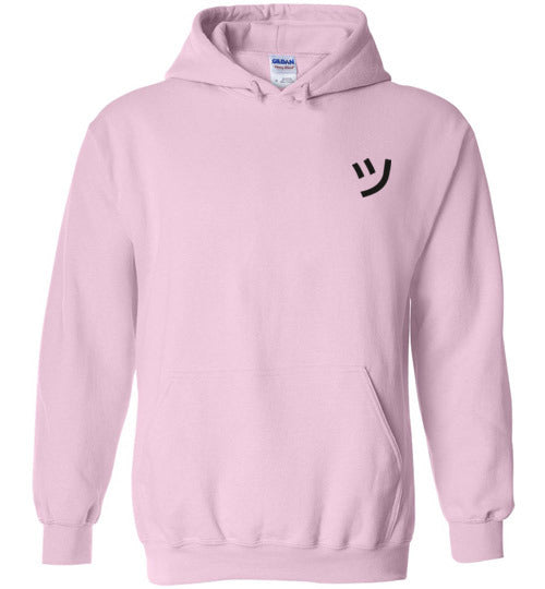 Jits & Shvitz Gym Jiu-Jitsu Pullover Hoodie Unisex Happi Clothes Co.